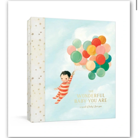 The Wonderful Baby You Are: A Record of Baby's First Year - Diary - GOOD - Picture 1 of 5